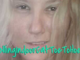 TravellingIndoorCatToeToHoe
