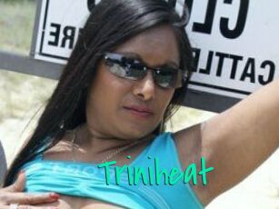 Triniheat
