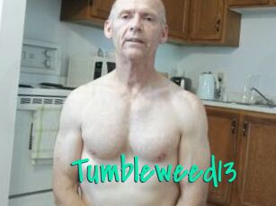 Tumbleweed13 Cool Sexe