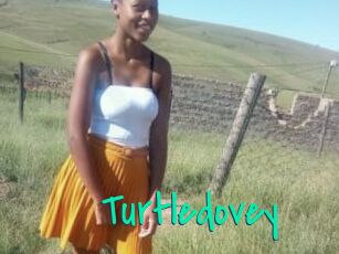Turtledovey