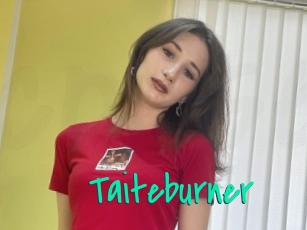 Taiteburner