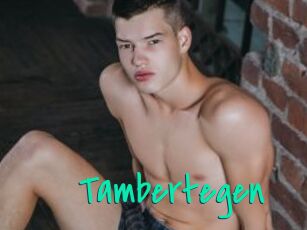Tambertegen