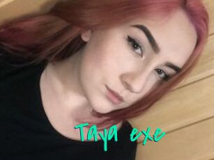 Taya_exe