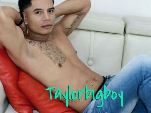 Taylorbigboy