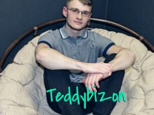 Teddybizon