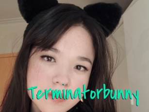 Terminatorbunny