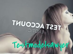 Testmodelsawyer
