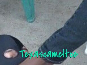 Texascameltoe