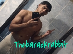 Thebarackrabbit
