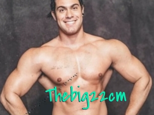 Thebig22cm