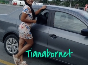 Tianabornet