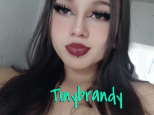 Tinybrandy