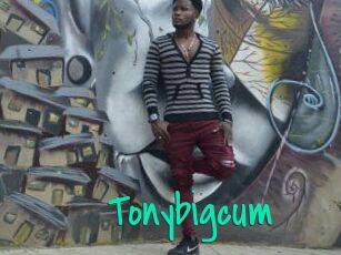 Tonybigcum