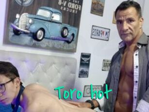 Toro_hot