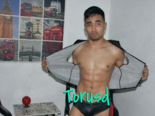 Torusd