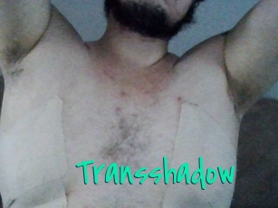Transshadow