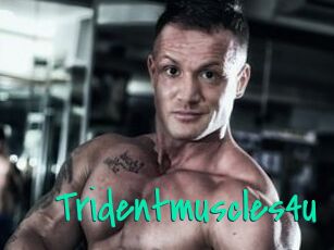 Tridentmuscles4u