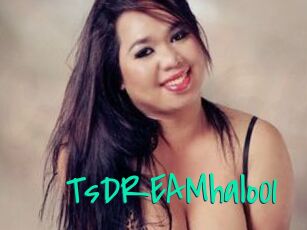TsDREAMhalo01