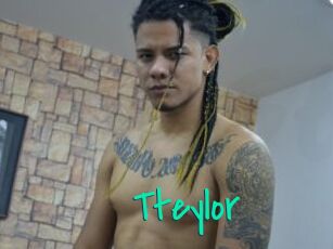 Tteylor