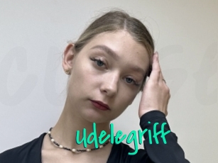 Udelegriff