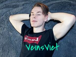 VeinsViet