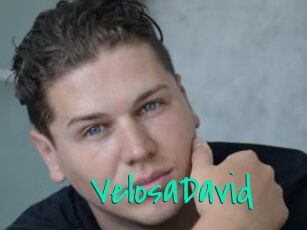 VelosaDavid