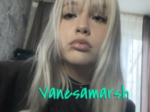 Vanesamarsh