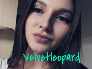 Velvetleopard