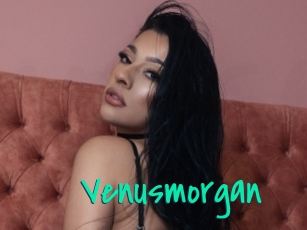 Venusmorgan