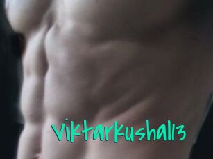 Viktarkushal13