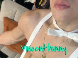 Vincentbunny