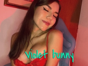Violet_bunny