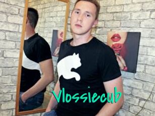 Vlossiecub