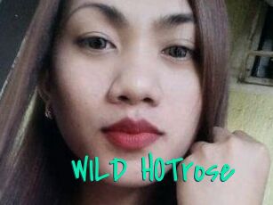 WILD_HOTrose
