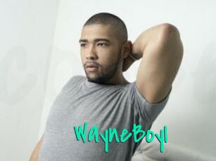 WayneBoyI