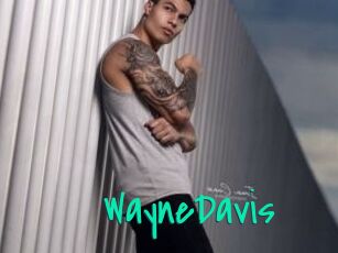 WayneDavis
