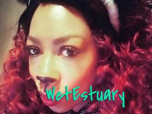 WetEstuary