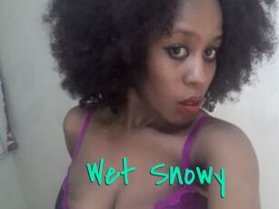 Wet_Snowy
