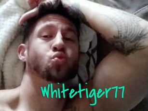 Whitetiger77