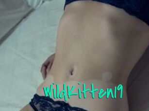 Wild_Kitten19