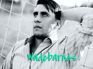 Wadebarnes