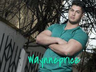 Waynneprice