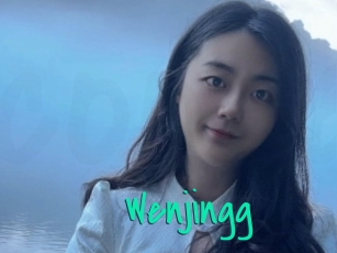 Wenjingg