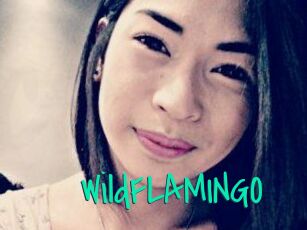 WildFLAMINGO