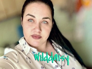 Wilddaisy