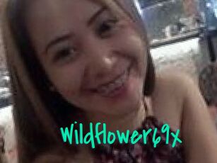 Wildflower69x