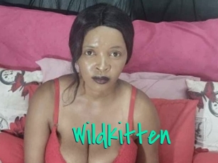 wildkitten Cool Sexe
