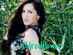 Wildredflower
