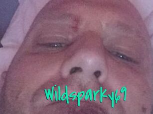 Wildsparky69