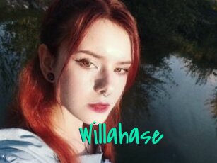 Willahase